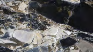 Breccia