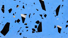 Broken Shark